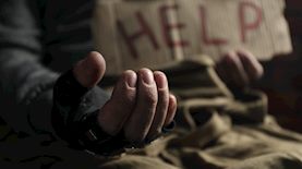 צילום: shutterstock